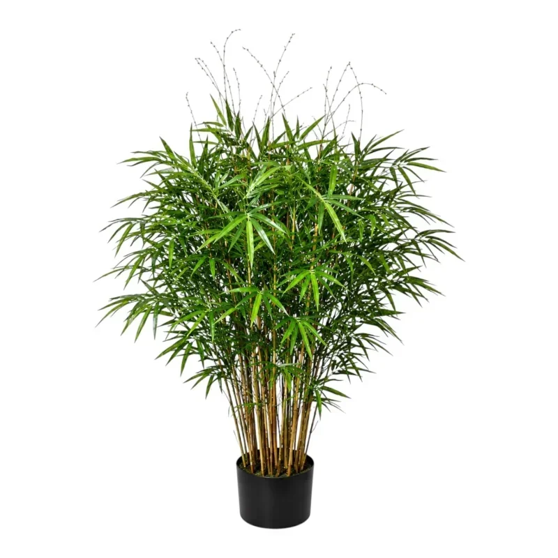 Tropical Bamboo Bush Tree